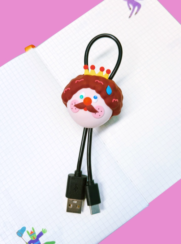 Little King Charging Cable iPhone and Type C Data Cable